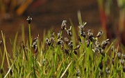 IMG_9965