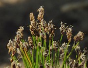IMG_9970