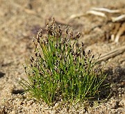 IMG_9971