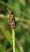 IMG_4157