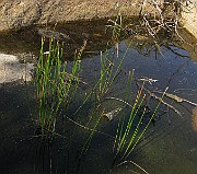IMG_4540