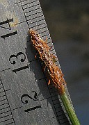 IMG_4541