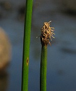 IMG_4543