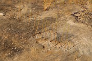 IMG_6238