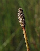 IMG_9700