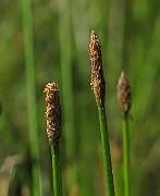 IMG_9705