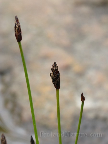 IMG_6687.jpg