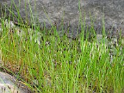 IMG_6724