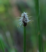IMG_7518