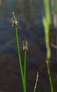 IMG_7521