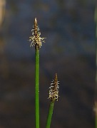 IMG_7523