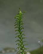 IMG_2653