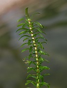 IMG_2654