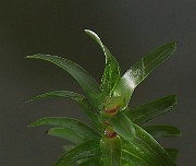 IMG_2657