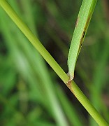 IMG_8362