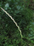 IMG_8363