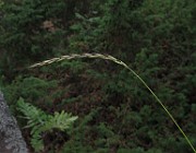IMG_8364