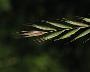 IMG_1565