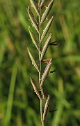 IMG_1569