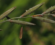 IMG_1566