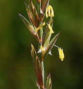 IMG_5762