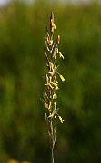 IMG_5763