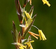 IMG_5764