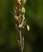 IMG_5769