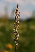 IMG_5770
