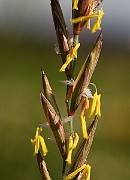 IMG_5770b