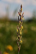 IMG_5771