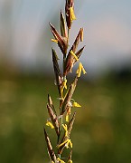 IMG_5773