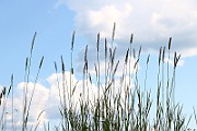 IMG_5774