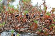IMG_1805