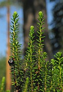 IMG_7644