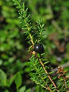 IMG_7647