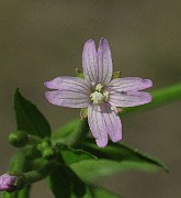 IMG_2078