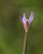 IMG_5272