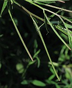 IMG_7653