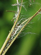 IMG_7656