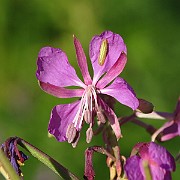 IMG_1772
