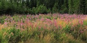 IMG_5320