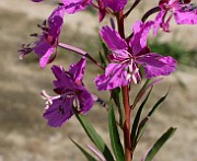 IMG_5757