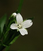 IMG_4352