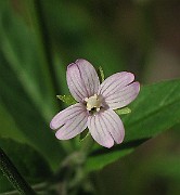 IMG_4355