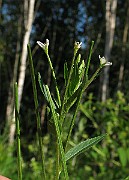 IMG_4356