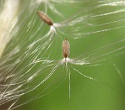 IMG_4357