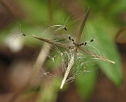 IMG_4358