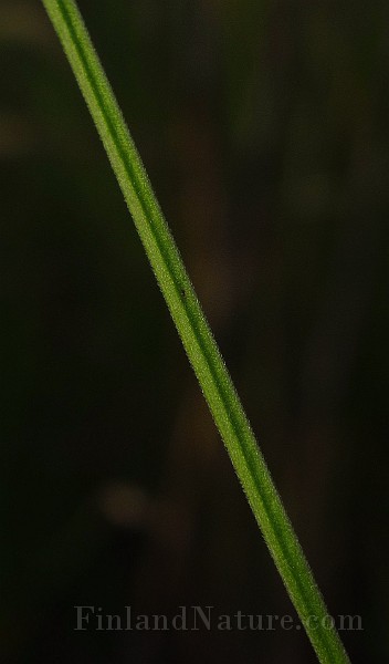 IMG_2807.JPG