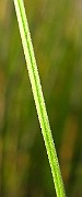IMG_2805
